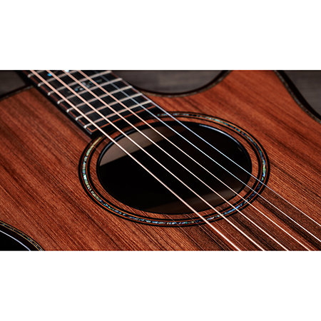 Builder's Edition 914ce + Etui Taylor