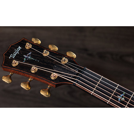 Builder's Edition 914ce + Etui Taylor
