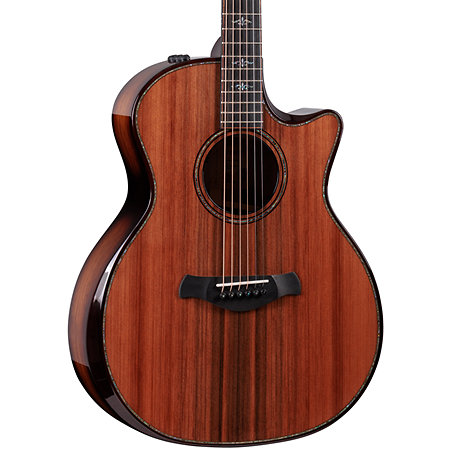 Builder's Edition 914ce + Etui Taylor
