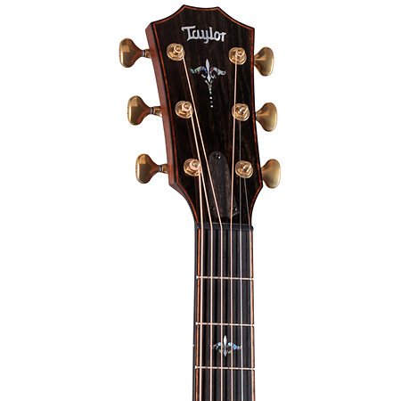 Builder's Edition 914ce + Etui Taylor