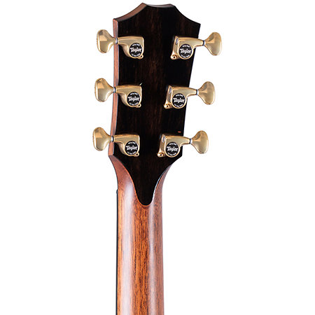 Builder's Edition 914ce + Etui Taylor