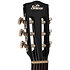 GCS 4/4 Black Shiver