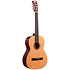 GCS 4/4 Gaucher Natural Shiver