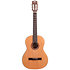 GCS 4/4 Gaucher Natural Shiver