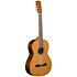 GCS 101 4/4 Natural Shiver