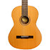 GCS 101 4/4 Natural Shiver