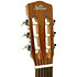 GCS 101 4/4 Natural Shiver