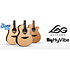 HV10-DCE HyVibe 10 Dreadnought Cutaway Electro + Housse LAG