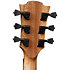 HV10-L-DCE HyVibe 10 Dreadnought Cutaway Electro Lefty + Housse LAG