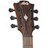 HV10-ACE HyVibe 10 Auditorium Cutaway Electro + Housse LAG