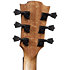 HV10-ACE HyVibe 10 Auditorium Cutaway Electro + Housse LAG