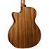 HV10-ACE HyVibe 10 Auditorium Cutaway Electro + Housse LAG