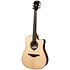 HV30-DCE HyVibe 30 Dreadnought Cutaway Electro + Housse LAG