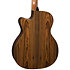 HV30-ACE HyVibe 30 Auditorium Cutaway Electro + Housse LAG