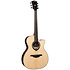 HV30-ACE HyVibe 30 Auditorium Cutaway Electro + Housse LAG