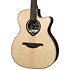 HV30-ACE HyVibe 30 Auditorium Cutaway Electro + Housse LAG