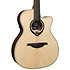 HV30-ACE HyVibe 30 Auditorium Cutaway Electro + Housse LAG