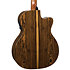HV30-L-ACE HyVibe 30 Auditorium Cutaway Electro Lefty + Housse LAG