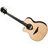 HV30-L-ACE HyVibe 30 Auditorium Cutaway Electro Lefty + Housse LAG