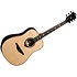 HV50-DE HyVibe 50 Dreadnought Electro + Housse LAG