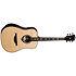 HV50-DE HyVibe 50 Dreadnought Electro + Housse LAG