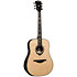 HV50-DE HyVibe 50 Dreadnought Electro + Housse LAG