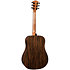 HV50-DE HyVibe 50 Dreadnought Electro + Housse LAG