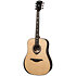 HV50-DE HyVibe 50 Dreadnought Electro + Housse LAG