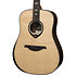 HV50-DE HyVibe 50 Dreadnought Electro + Housse LAG
