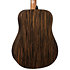 HV50-DE HyVibe 50 Dreadnought Electro + Housse LAG