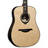 HV50-DE HyVibe 50 Dreadnought Electro + Housse LAG