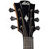 HV50-ACE HyVibe 50 Auditorium Cutaway Electro + Housse LAG