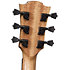 HV50-ACE HyVibe 50 Auditorium Cutaway Electro + Housse LAG