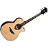 HV50-ACE HyVibe 50 Auditorium Cutaway Electro + Housse LAG