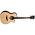HV50-ACE HyVibe 50 Auditorium Cutaway Electro + Housse LAG