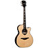 HV50-ACE HyVibe 50 Auditorium Cutaway Electro + Housse LAG