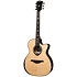 HV50-ACE HyVibe 50 Auditorium Cutaway Electro + Housse LAG
