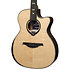 HV50-ACE HyVibe 50 Auditorium Cutaway Electro + Housse LAG