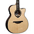 HV50-ACE HyVibe 50 Auditorium Cutaway Electro + Housse LAG
