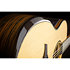 HV50-N-ACE HyVibe 50 Nylon Auditorium Cutaway Electro + Housse LAG