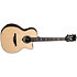 HV50-N-ACE HyVibe 50 Nylon Auditorium Cutaway Electro + Housse LAG