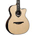HV50-N-ACE HyVibe 50 Nylon Auditorium Cutaway Electro + Housse LAG