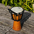 DS 20 Djembé baby Shiver