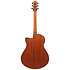 AAM50CE-CRO Coral Red Burst Open Pore Ibanez