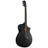 AEWC621-BOT Black Out Ibanez
