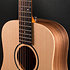 BT1 Baby Taylor Walnut + Housse Taylor