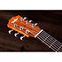 BT1 Baby Taylor Walnut + Housse Taylor