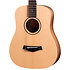 BT1 Baby Taylor Walnut + Housse Taylor