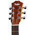BT1 Baby Taylor Walnut + Housse Taylor