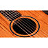 BT2 Baby Taylor Mahogany + Housse Taylor